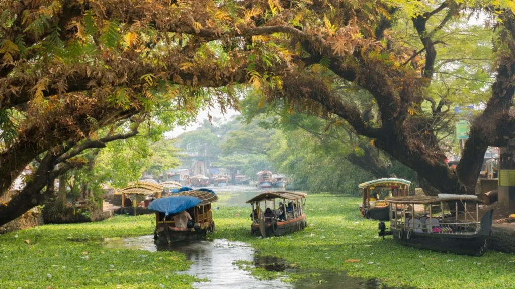 Explore the Best Places in India: A Journey Through Culture, Nature & Timeless Beauty